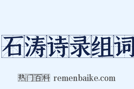 石涛诗录组词是什么意思的图片